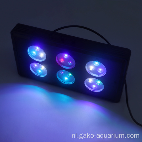 High Watt Coral Reef Aquarium Lighting voor zoutwater